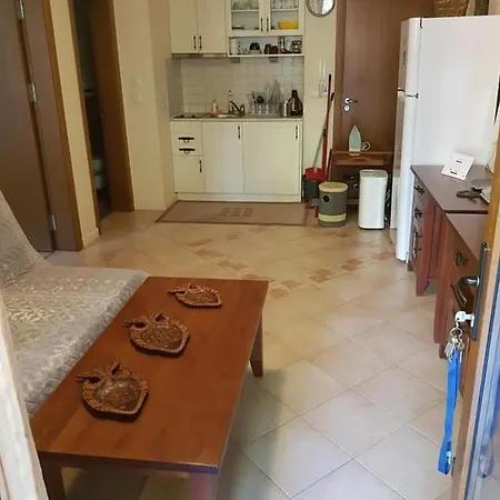 Santa Marina Onebedroom Apartaments 公寓 索佐波尔